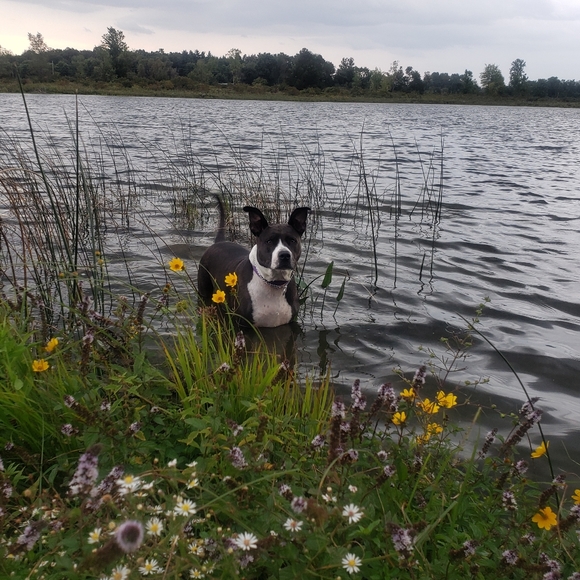 Meet your Posh Ambassador, Ashley♡ ARTIST | CREATOR | BELIEVER OF EVERYDAY MAGIC - Picture 3 of 16